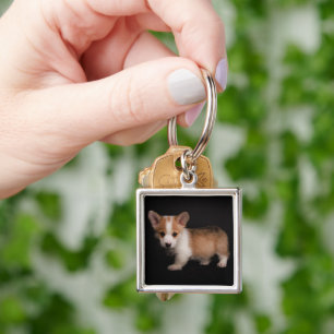 Cutest Baby Animals Tiny Corgi Key Ring