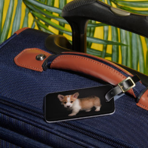 Cutest Baby Animals Tiny Corgi Luggage Tag