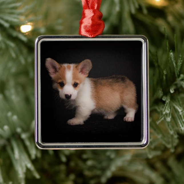 Cutest Baby Animals | Tiny Corgi Metal Tree Decoration (Tree)