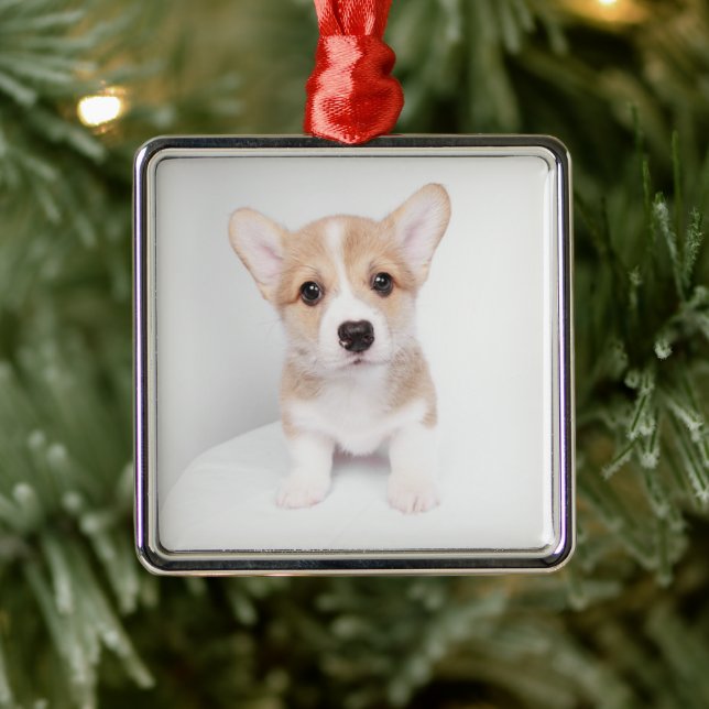 Cutest Baby Animals | Tiny Corgi Metal Tree Decoration (Tree)