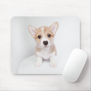 Cutest Baby Animals   Tiny Corgi Mouse Pad