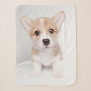 Cutest Baby Animals Tiny Corgi Sherpa Blanket