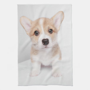 Cutest Baby Animals Tiny Corgi Tea Towel