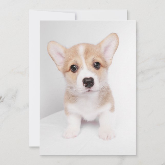 Cutest Baby Animals | Tiny Corgi Thank You Card (Front)