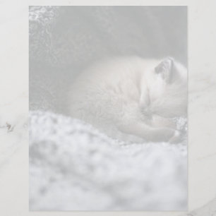 Cutest Baby Animals Tiny Kitten Sleeping