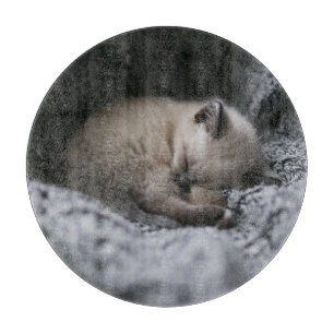 Cutest Baby Animals Tiny Kitten Sleeping Cutting Board