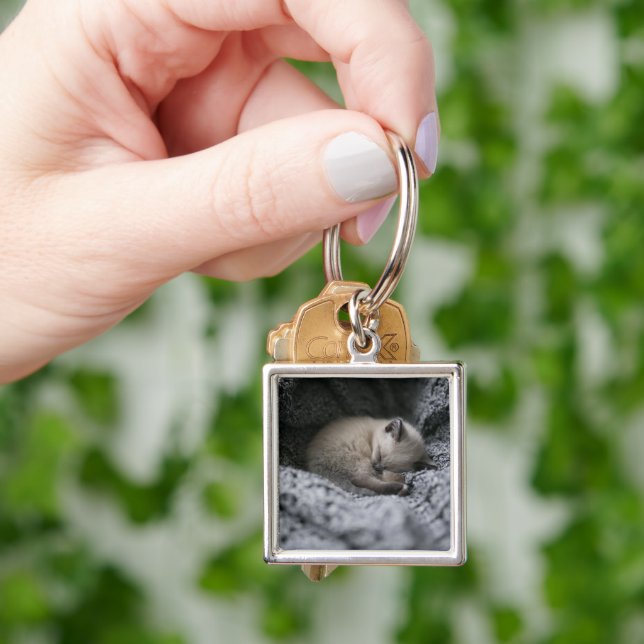 Cutest Baby Animals | Tiny Kitten Sleeping Key Ring (Hand)