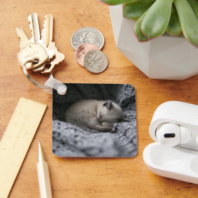 Cutest Baby Animals | Tiny Kitten Sleeping Key Ring (Desk)