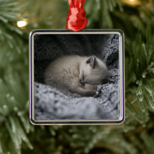 Cutest Baby Animals Tiny Kitten Sleeping Metal Tree Decoration