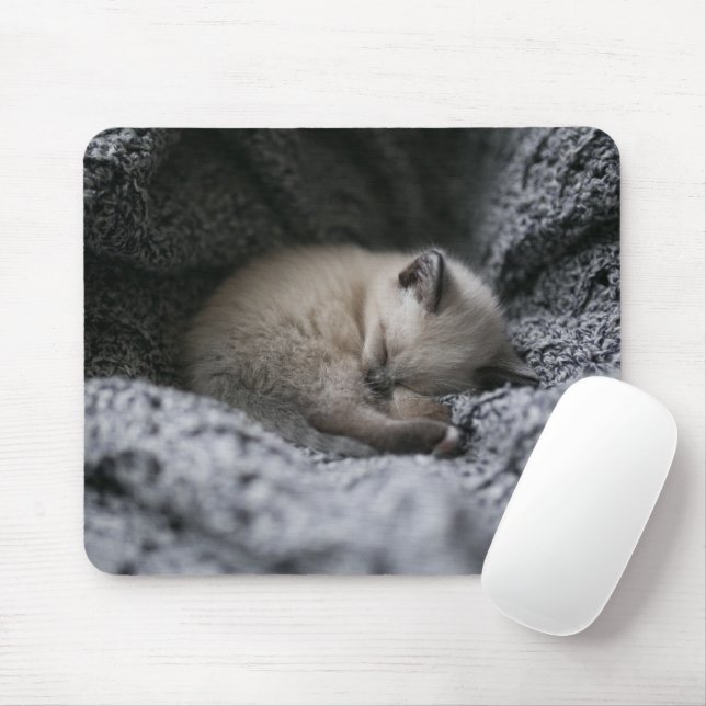 Cutest Baby Animals | Tiny Kitten Sleeping Mouse Pad (With Mouse)