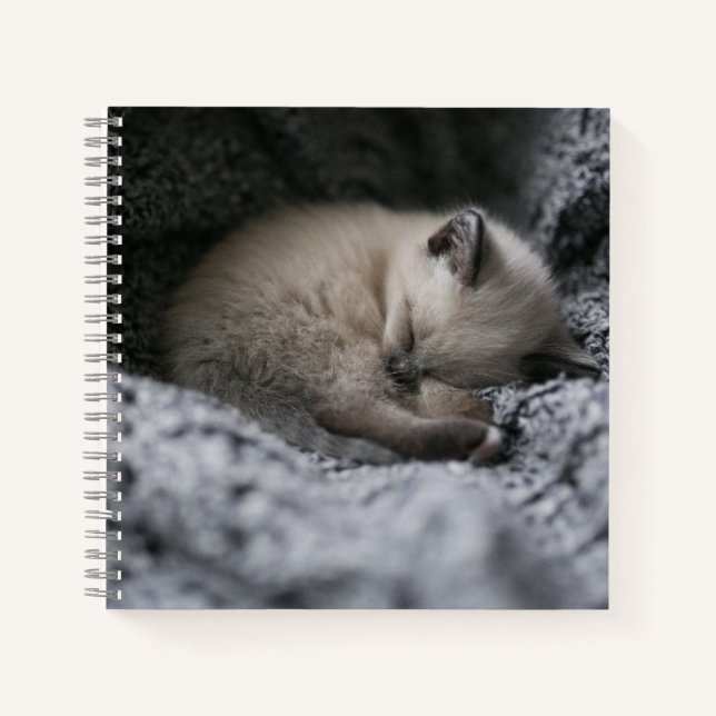 Cutest Baby Animals | Tiny Kitten Sleeping Notebook (Front)