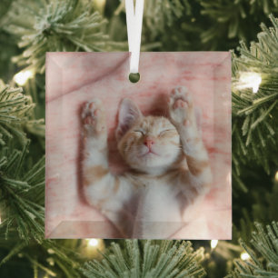 Cutest Baby Animals   Tiny Orange Striped Kitten Glass Tree Decoration