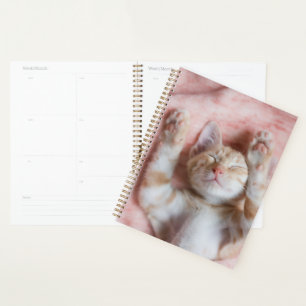 Cutest Baby Animals Tiny Orange Striped Kitten Planner