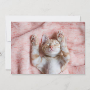 Cutest Baby Animals Tiny Orange Striped Kitten Thank You Card