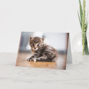 Cutest Baby Animals Tiny Tabby Kitten Card