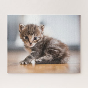 Cutest Baby Animals Tiny Tabby Kitten Jigsaw Puzzle