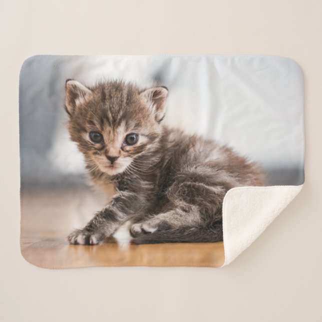 Cutest Baby Animals | Tiny Tabby Kitten Sherpa Blanket (Front (Horizontal))