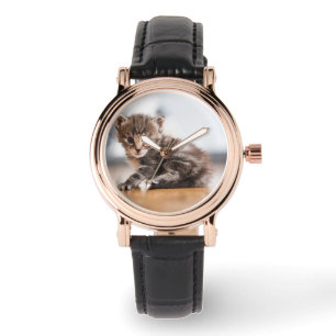 Cutest Baby Animals Tiny Tabby Kitten Watch