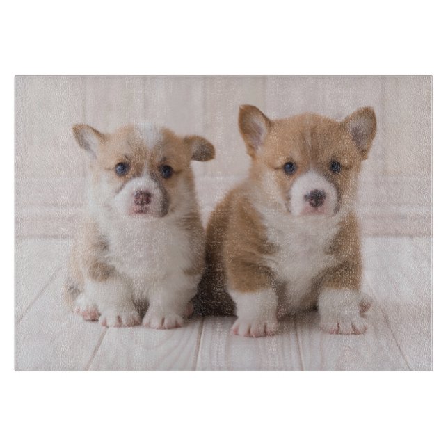 Cutest Baby Animals | Two Baby Corgis Sitting Cutting Board (Front)