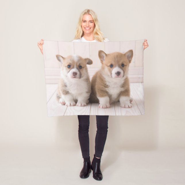 Cutest Baby Animals | Two Baby Corgis Sitting Fleece Blanket (In Situ)