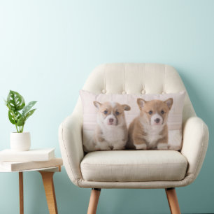 Cutest Baby Animals Two Baby Corgis Sitting Lumbar Cushion