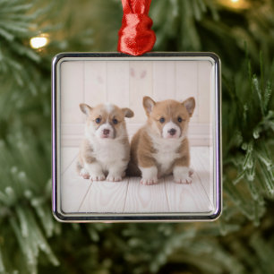 Cutest Baby Animals   Two Baby Corgis Sitting Metal Tree Decoration