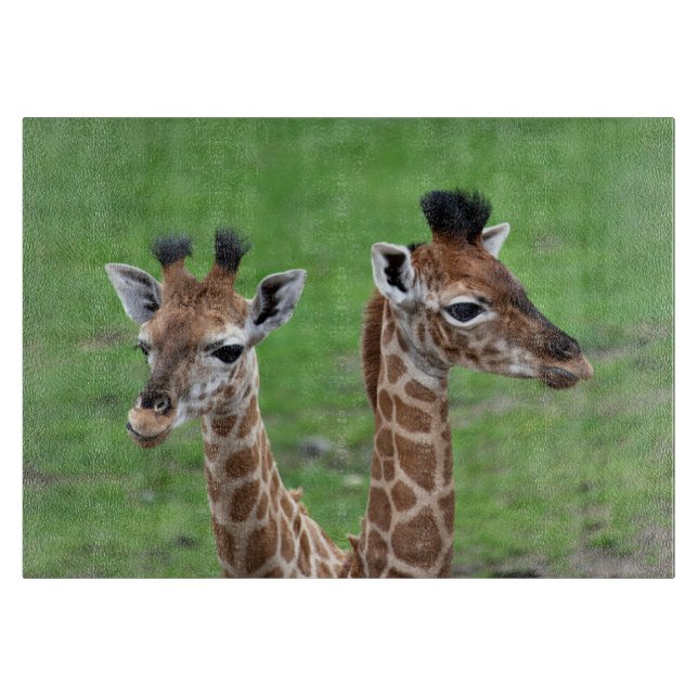 Cutest Baby Animals | Two Baby Giraffes Cutting Board (Front)