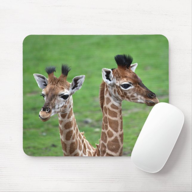 Cutest Baby Animals | Two Baby Giraffes Mouse Pad (With Mouse)