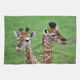 Cutest Baby Animals Two Baby Giraffes Tea Towel