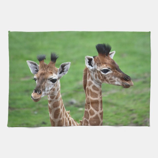 Cutest Baby Animals | Two Baby Giraffes Tea Towel (Horizontal)