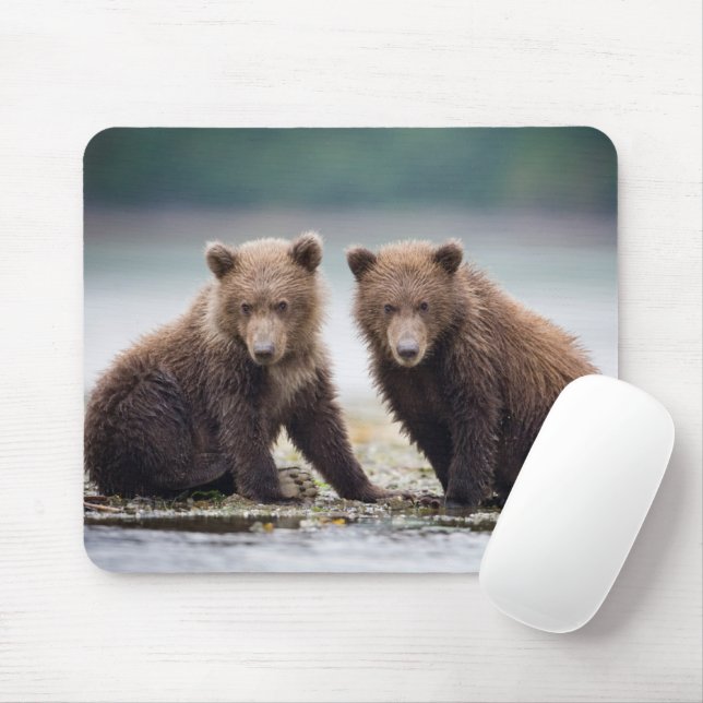 Cutest Baby Animals | Two Bear Cubs Mouse Pad (With Mouse)
