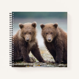 Cutest Baby Animals Two Bear Cubs Notebook