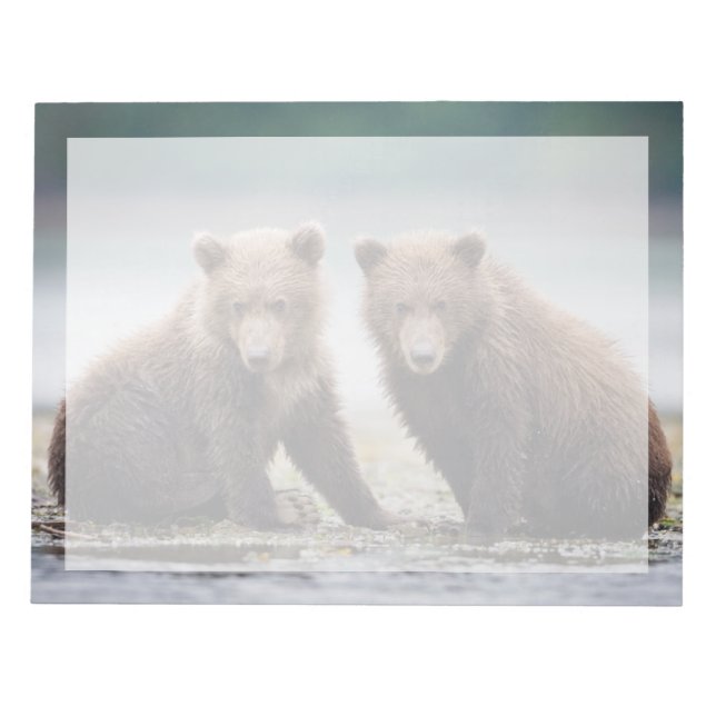 Cutest Baby Animals | Two Bear Cubs Notepad (Front)