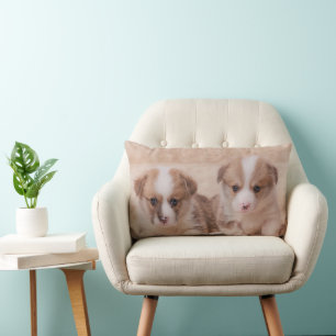 Cutest Baby Animals   Two Corgi Puppies Lumbar Cushion