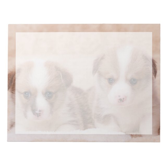 Cutest Baby Animals | Two Corgi Puppies Notepad (Front)