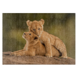 Cutest Baby Animals Two Lion Cubs Cutting Board