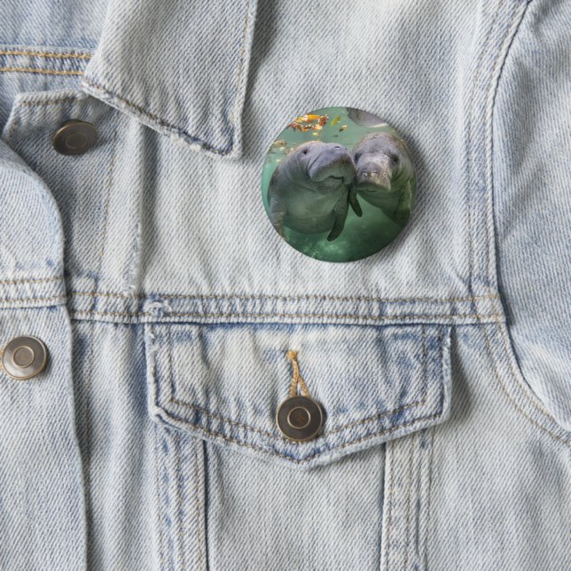 Cutest Baby Animals | Two Manatees 6 Cm Round Badge (In Situ)