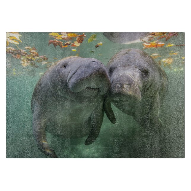 Cutest Baby Animals | Two Manatees Cutting Board (Front)