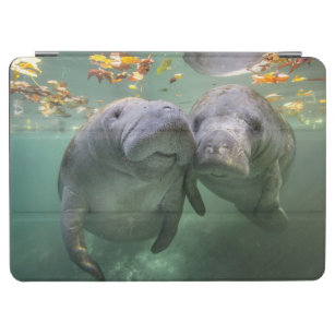 Cutest Baby Animals   Two Manatees iPad Air Cover