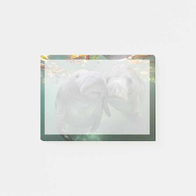 Cutest Baby Animals | Two Manatees Post-it Notes (Front)