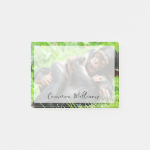 Cutest Baby Animals   Two Young Chimpanzees Post-it Notes