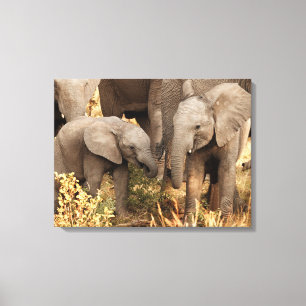 Cutest Baby Animals   Two Young Elephants Canvas Print