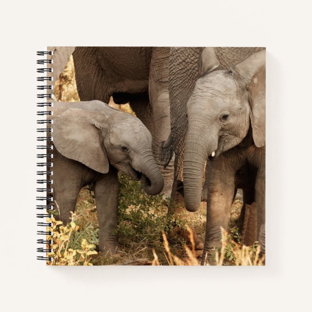 Cutest Baby Animals | Two Young Elephants Notebook (Front)