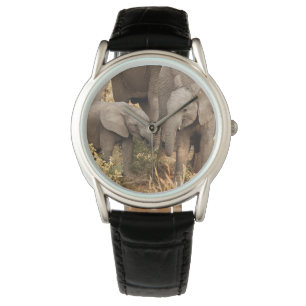 Cutest Baby Animals   Two Young Elephants Watch