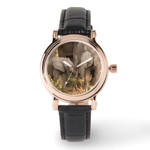 Cutest Baby Animals Two Young Elephants Watch