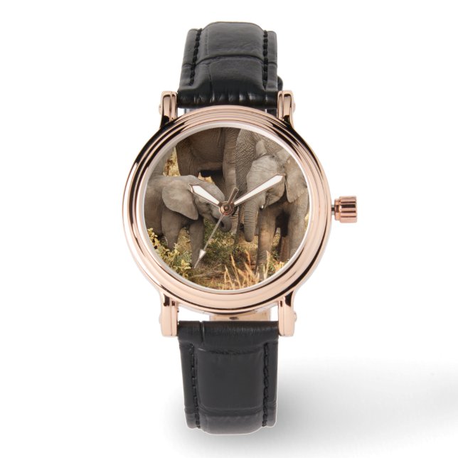 Cutest Baby Animals | Two Young Elephants Watch (Front)