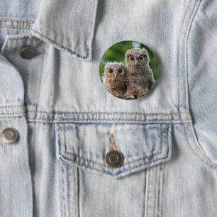 Cutest Baby Animals   Two Young Owls 6 Cm Round Badge