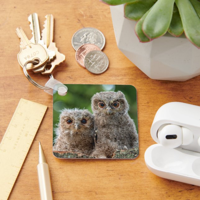 Cutest Baby Animals | Two Young Owls Key Ring (Desk)