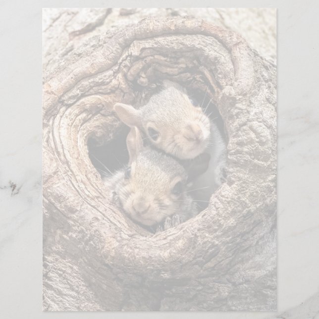 Cutest Baby Animals | Two Young Squirrels (Front)
