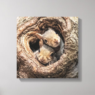 Cutest Baby Animals   Two Young Squirrels Canvas Print